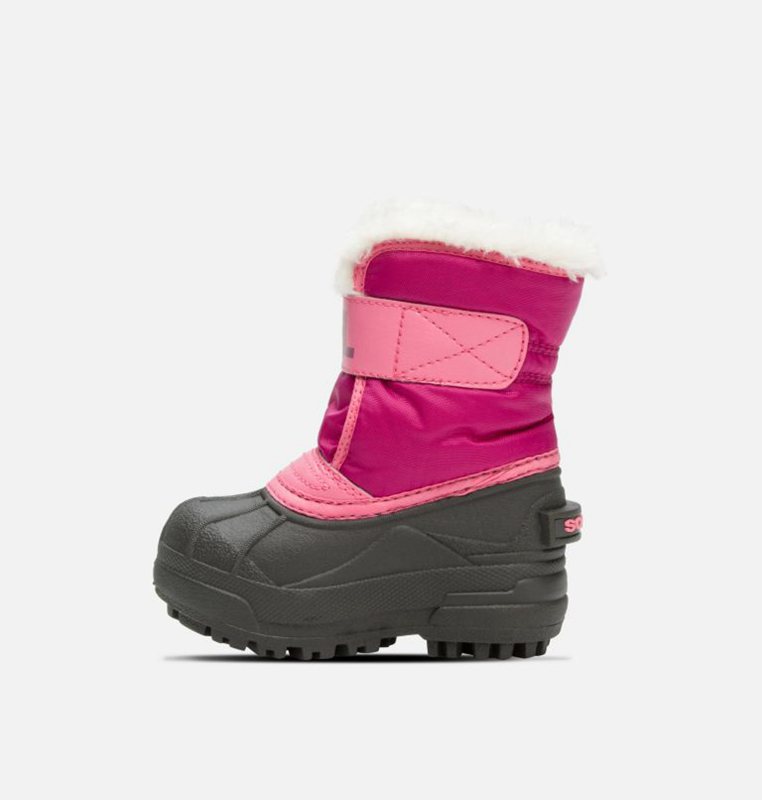 Botas Nieve Sorel Niños - Toddler Commander™ Rosas/Negras - 49370-VWFO